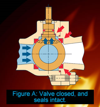 The Balon Valve: Totally Advanced