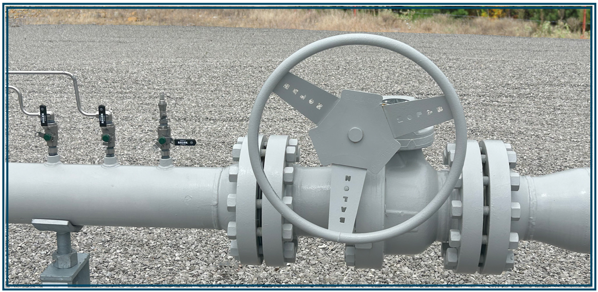 Fugitive Emission Certified