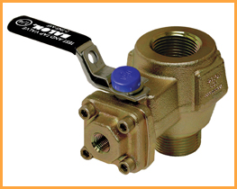 Threaded End Carbon Steel